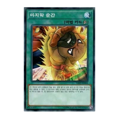 Edge of the Ring - SAST-KR068