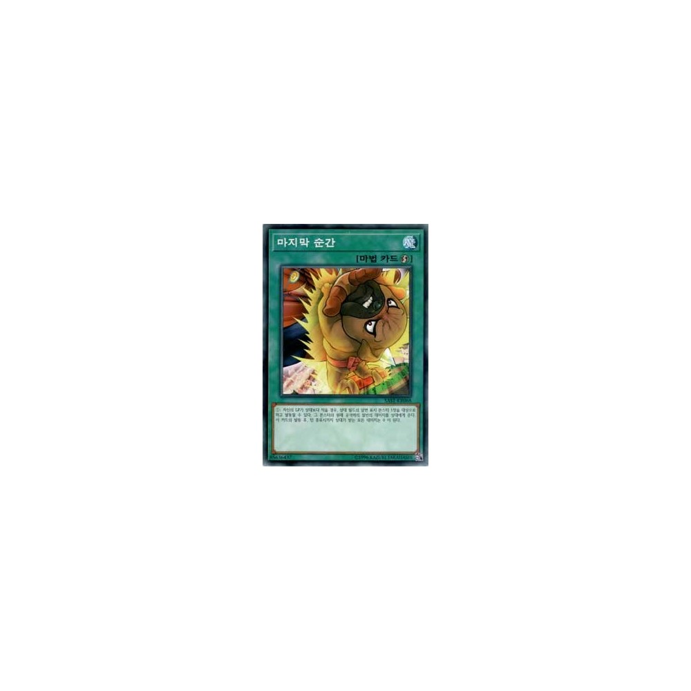 Edge of the Ring - SAST-KR068 Edge of the Ring - SAST-KR068