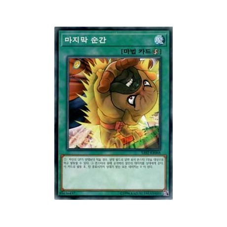 Edge of the Ring - SAST-KR068