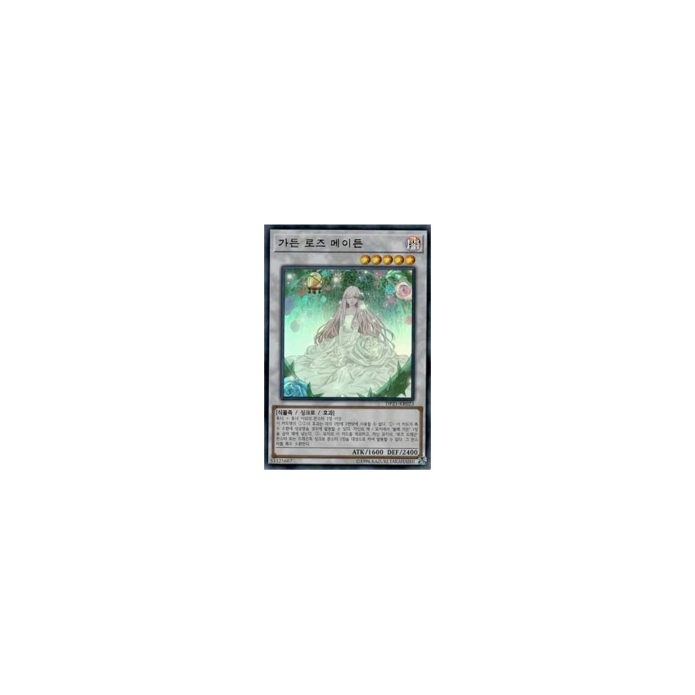 Garden Rose Maiden - DP21-KR023 Garden Rose Maiden - DP21-KR023