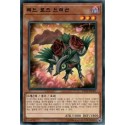 Red Rose Dragon - DP21-KR025