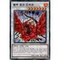 Black Rose Dragon - DP21-KR028