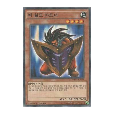 Big Shield Gardna - MB01-KR019