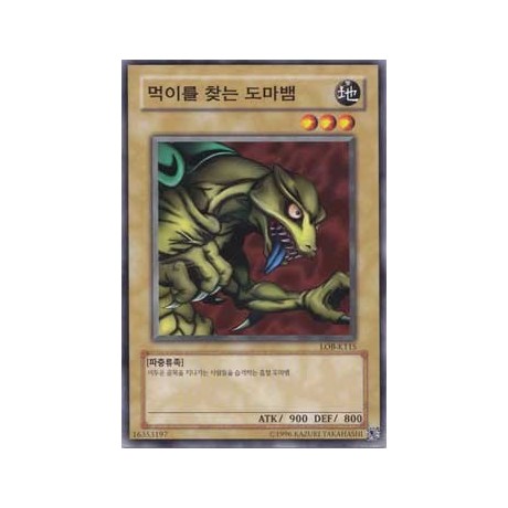 Drooling Lizard - LOB-K115