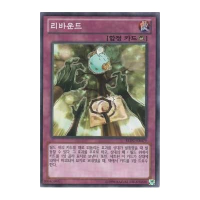 Rebound - REDU-KR079
