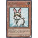 Rescue Rabbit - PHSW-KR037