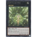 Meliae of the Trees - SHSP-KR055