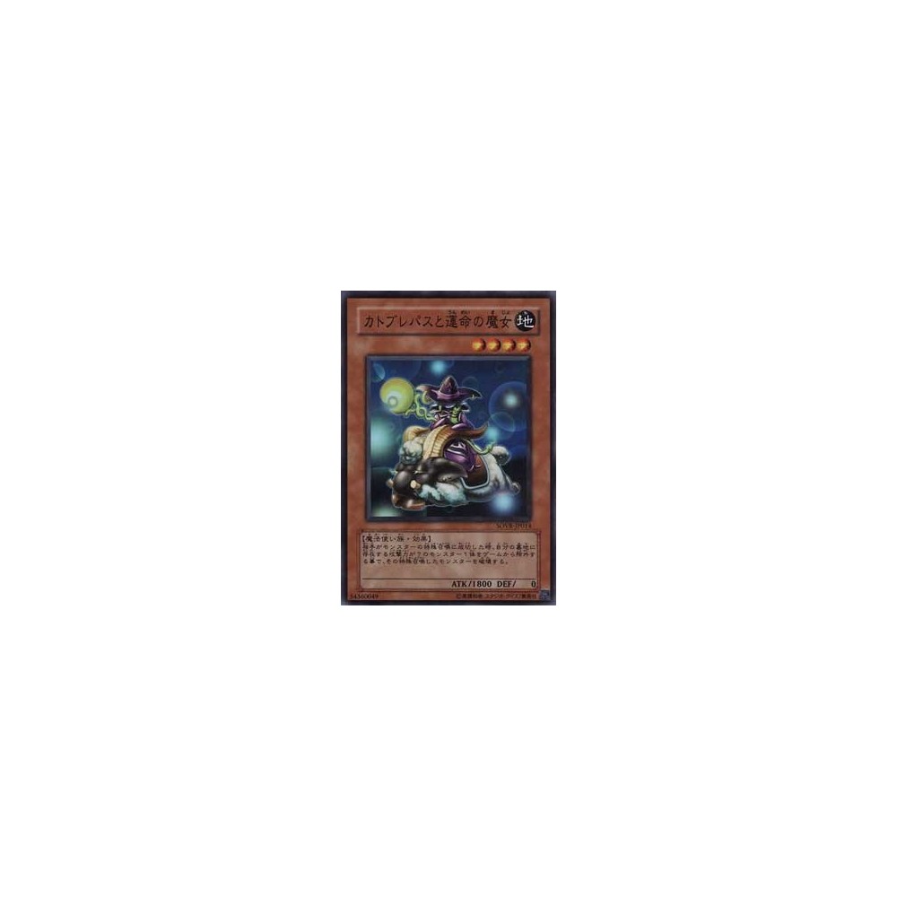 Ledian (XY 7/146)