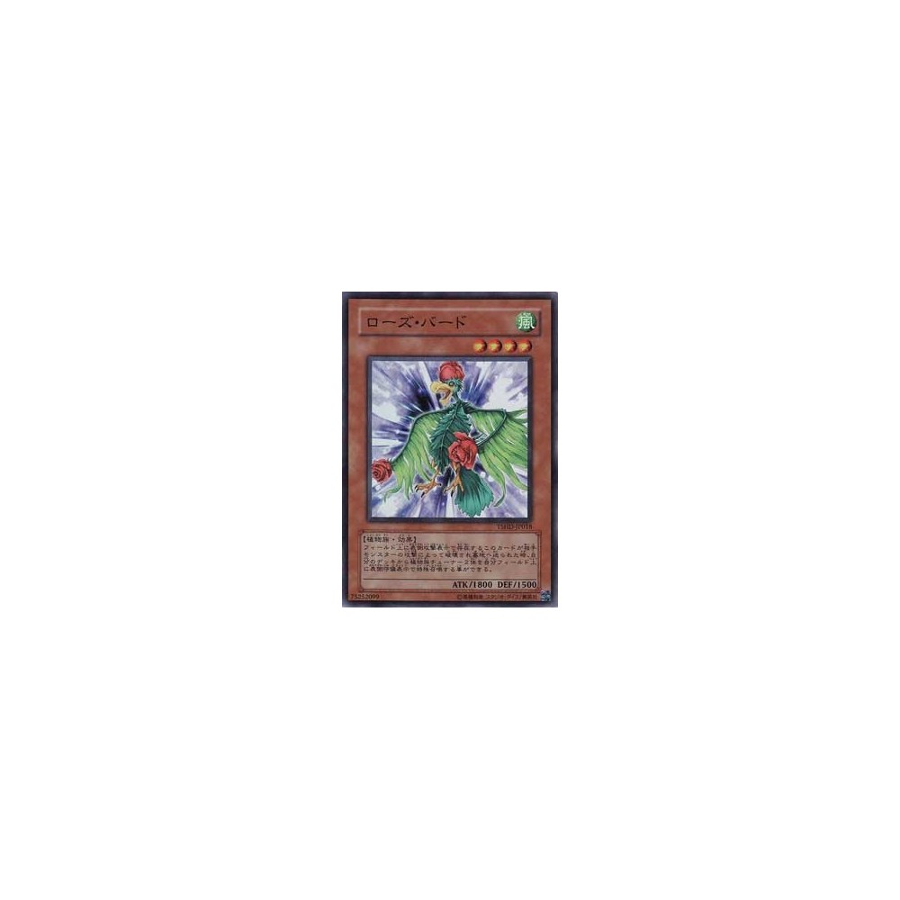 Pikachu (XY 42/146)