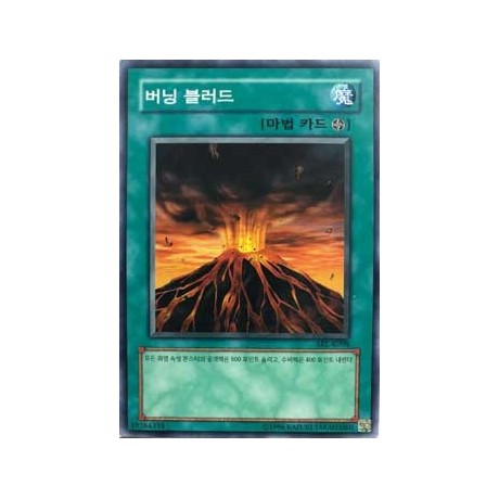 Molten Destruction - SRL-K098