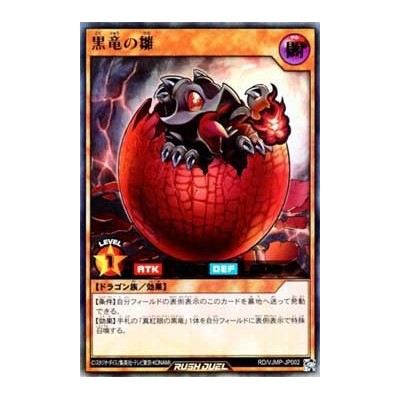 Black Dragon's Chick - RD/VJMP-JP002