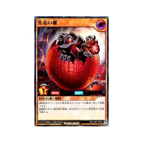 Black Dragon's Chick - RD/VJMP-JP002