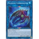 Paleozoic Cambroraster - LIOV-EN047