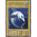 White Dolphin - B2-92409659