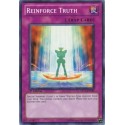 Reinforce Truth - DP09-EN027