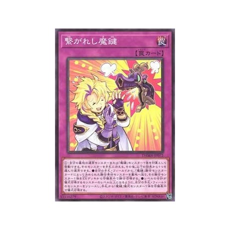 Magikey Duo - DAMA-KR072