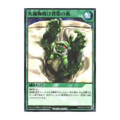 Art of Masked Fiery Noodle Heartburn-Inducing Pork Roast Fat - RD/KP03-KR046