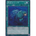 Moray of Greed - DE04-JP076