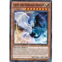 Light and Darkness Dragon - LDPP-EN001