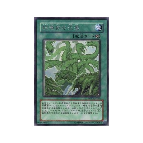 Raging Mad Plants - SOVR-JP060