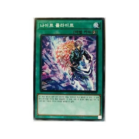 Night Flight - BODE-KR068