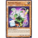 Puppet Plant - STON-EN022