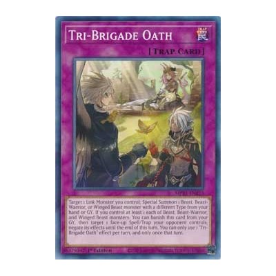 Tri-Brigade Oath - MP21-EN213