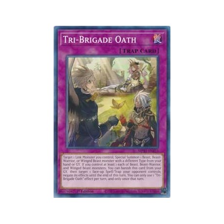 Tri-Brigade Oath - MP21-EN213