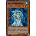 Aqua Spirit - LON-KR068