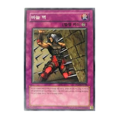 Needle Wall - PGD-KR048