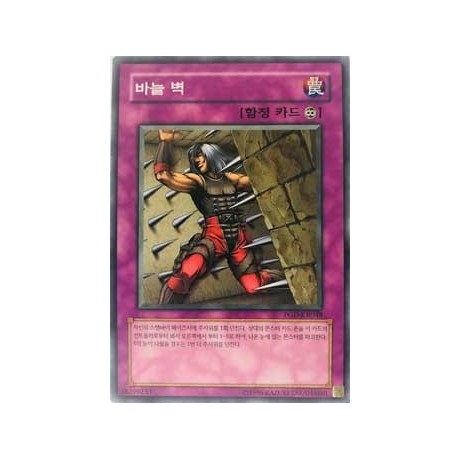 Needle Wall - PGD-KR048