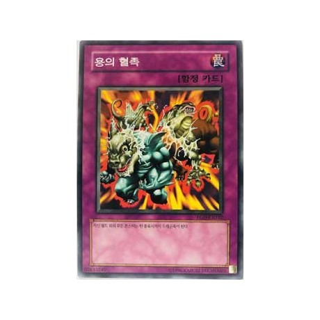 D. Tribe - PGD-KR102