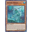 Icejade Tinola - BODE-EN009