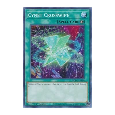 Cynet Crosswipe - BODE-EN096