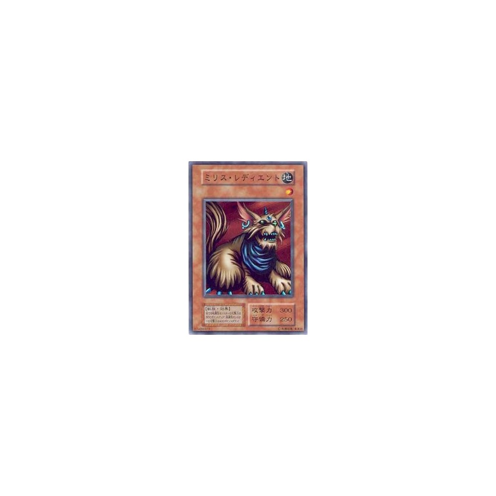 Milus Radiant VOL6-07489323