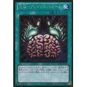 Brain Control - GDB1-JP032
