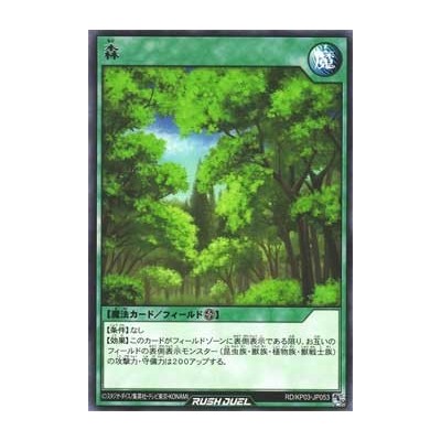Forest - RD/KP03-JP053