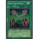 Soul Exchange - SDY-041 - Danificada - Versão Asiatica
