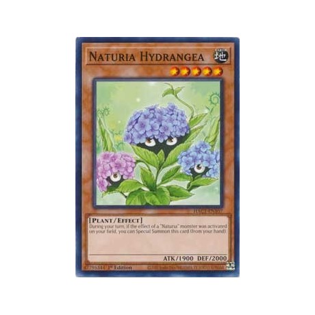 Naturia Hydrangea - HAC1-EN107