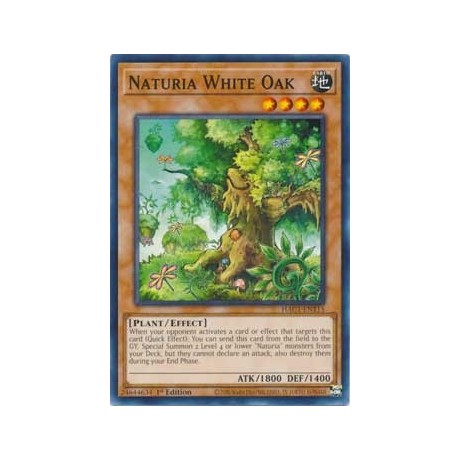 Naturia White Oak - HAC1-EN115