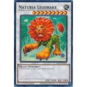 Naturia Leodrake - HAC1-EN121