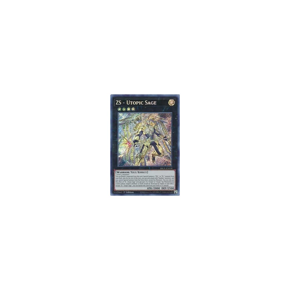 ZS - Utopic Sage - BROL-EN058 ZS - Utopic Sage - BROL-EN058