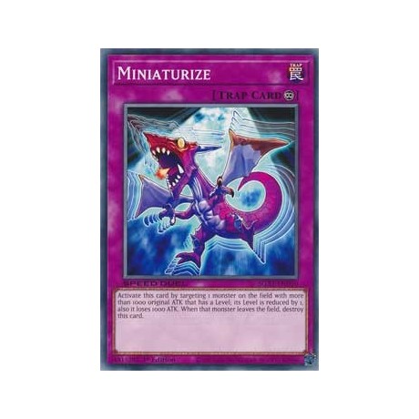 Miniaturize - SGX1-END20