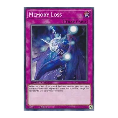 Memory Loss - SGX1-ENG19