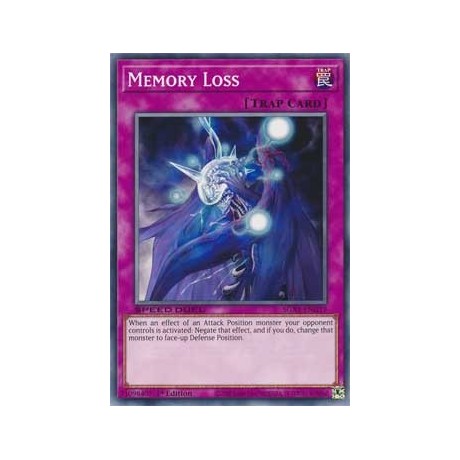 Memory Loss - SGX1-ENG19