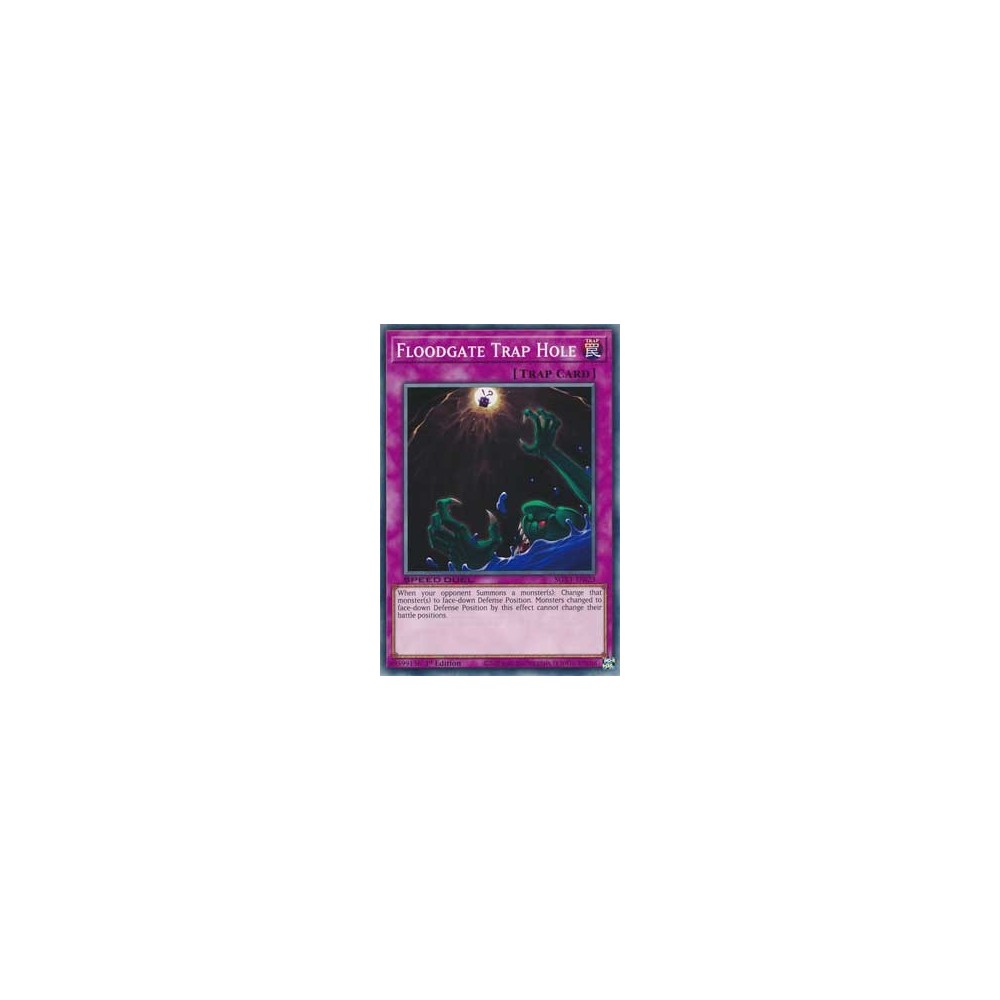 Floodgate Trap Hole - SGX1-ENI23 Floodgate Trap Hole - SGX1-ENI23