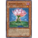 Samsara Lotus - PTDN-EN004