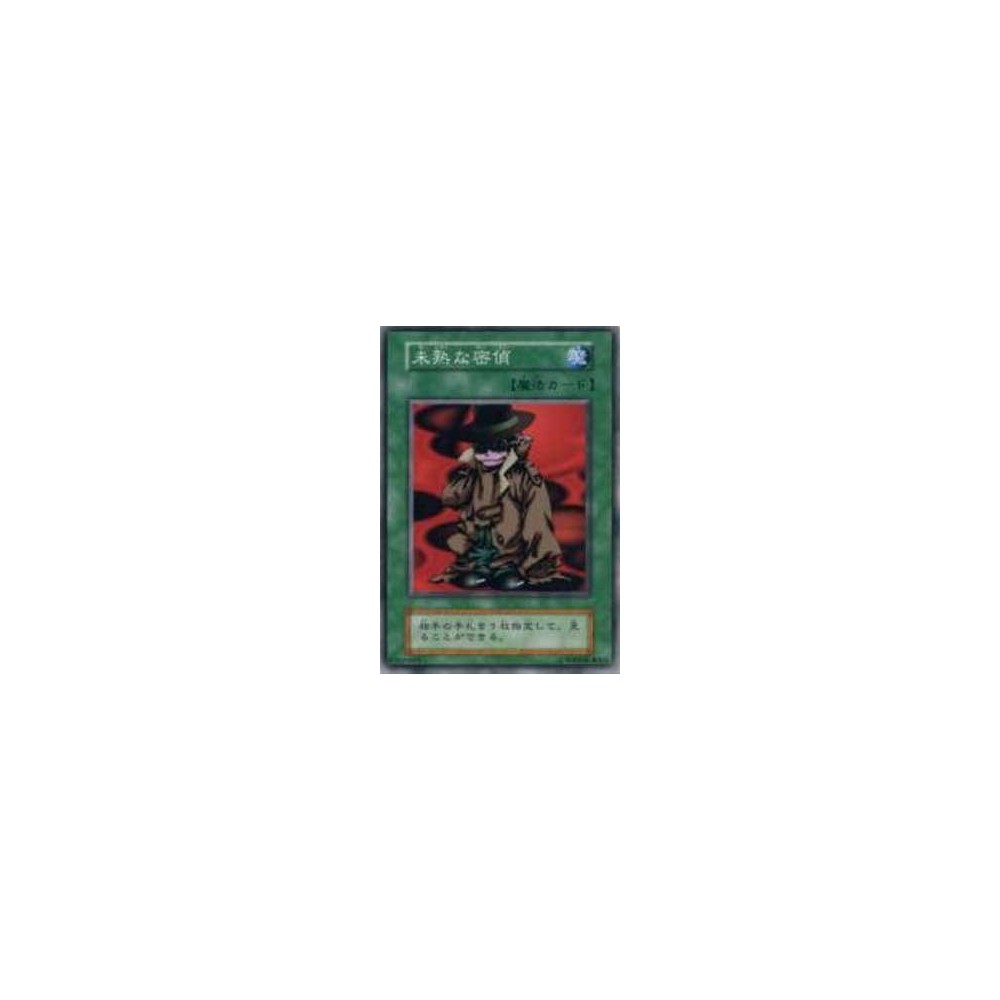 The Inexperienced Spy - EXSB-81820689 The Inexperienced Spy - EXSB-81820689