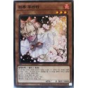 Ash Blossom & Joyous Spring - SD44-KR014
