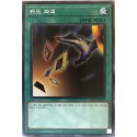 Card Destruction - SR13-KR032